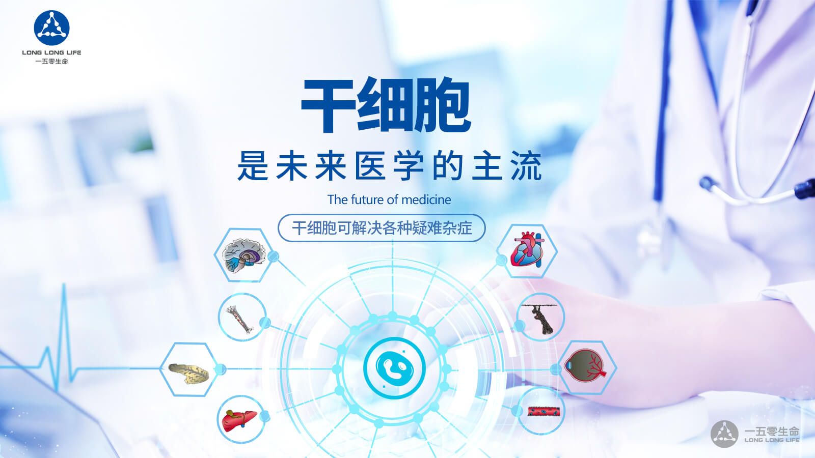 干細(xì)胞技術(shù) 干細(xì)胞技術(shù)