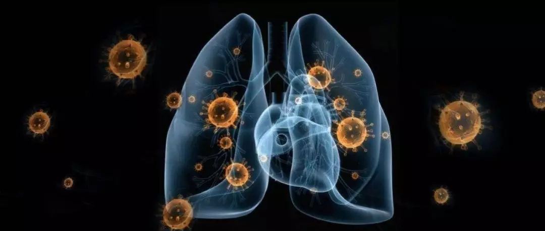 NK細胞療法防控新型冠狀病毒肺炎的臨床研究